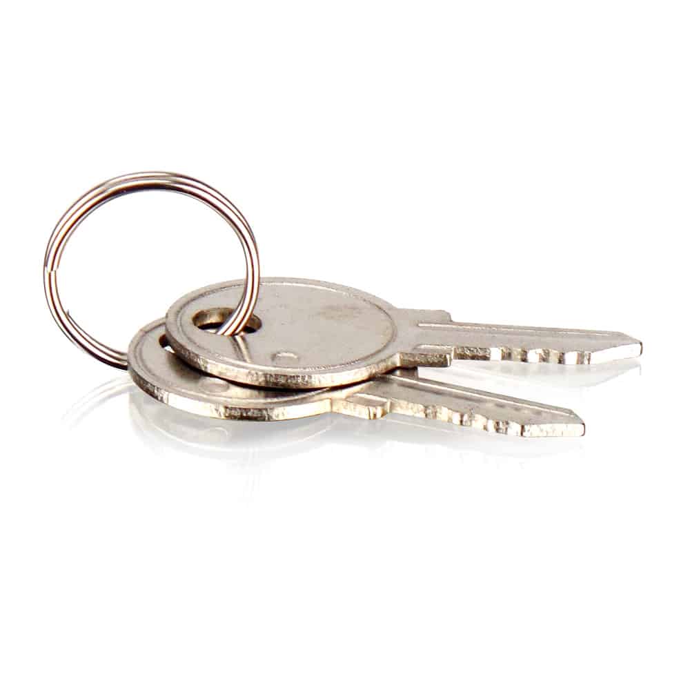 Lathem | Keys (Pair) Replacement, Model 400E Only